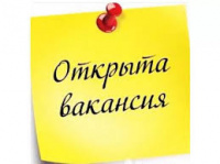Elenagarsh222